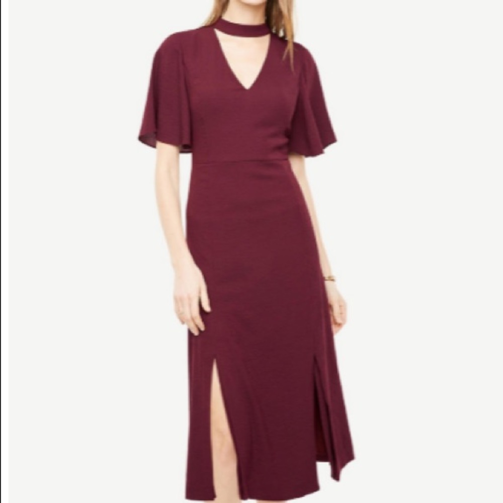Ann Taylor Flutter Sleeve Choker Dress 12P